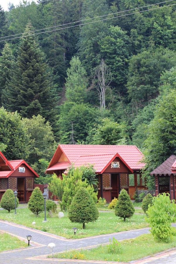 Sokolyne Gnizdo Hotel Korostov ภายนอก รูปภาพ
